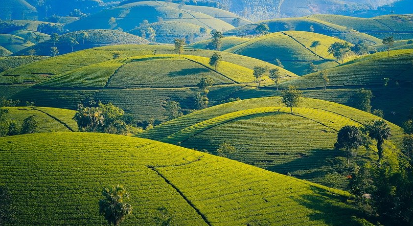 1619456364309725.png image.png